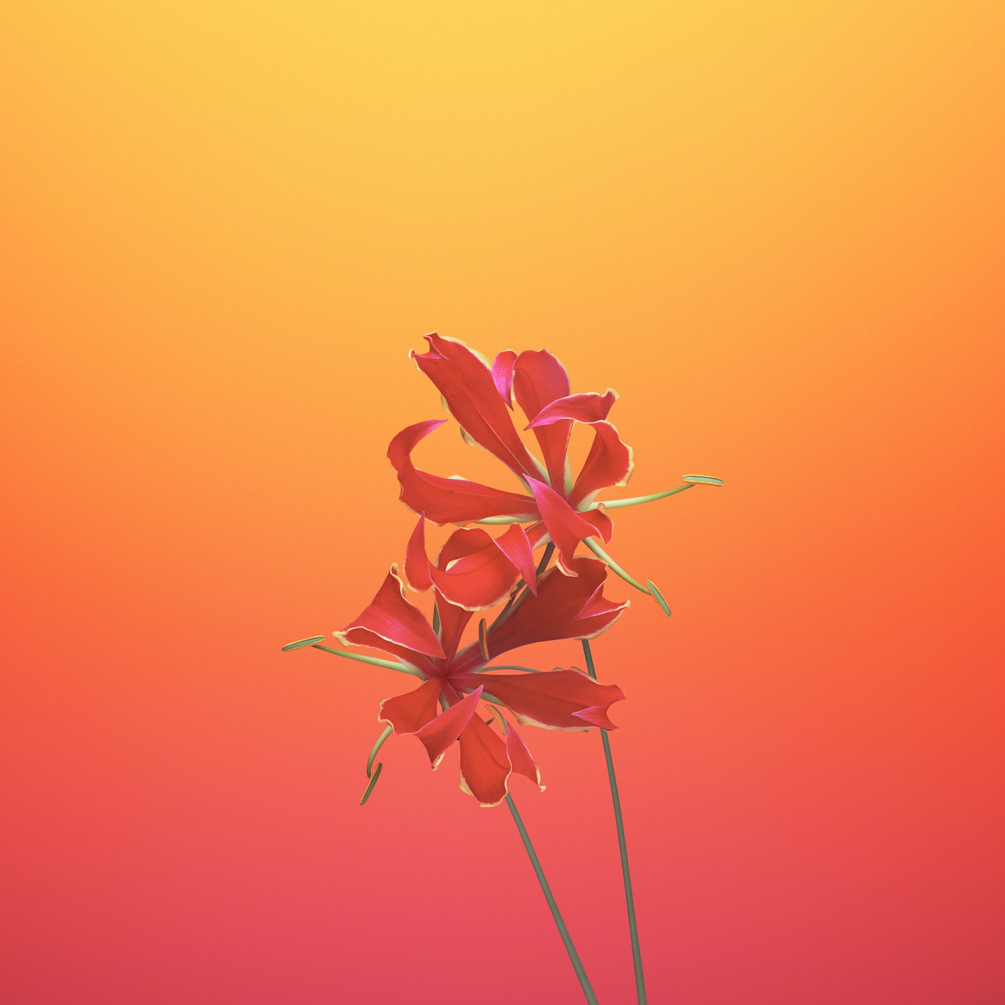 Flower_GLORIOSA - TechFoogle