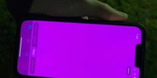 iPhone-13-Pro-Pink-screen-problem-apple
