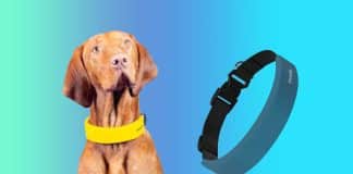 Invoxia Unveiled Smart Health Tracking Smart DOG Collar at CES Invoxia Unveiled Smart Health Tracking Smart Collar for Dogs at CES