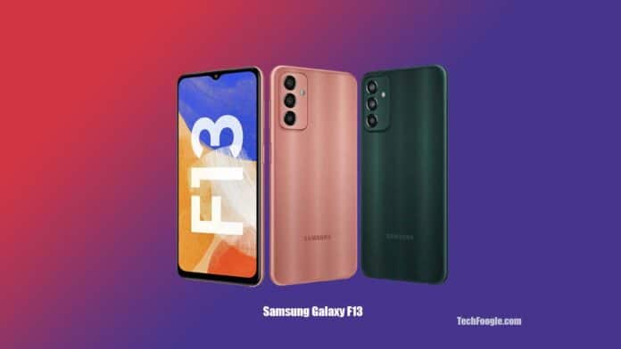Samsung-Galaxy-F13-Launched-India