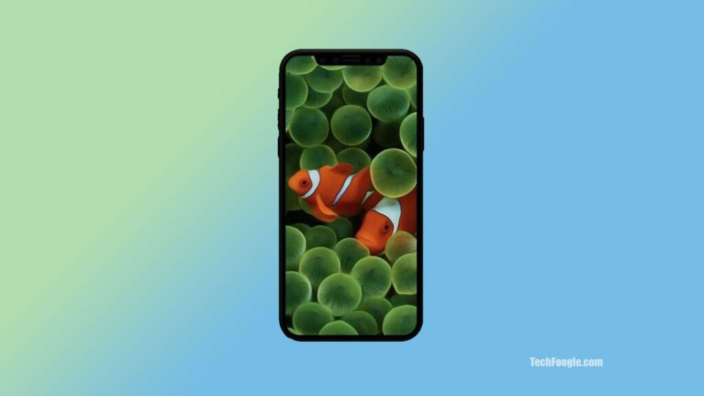 iOS 16 Bringing iConic Clownfish Wallpaper For iPhones - TechFoogle