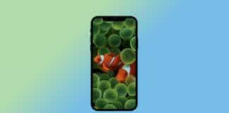 iOS-16-Bringing-iConic-Clownfish-Wallpaper-For-iPhones