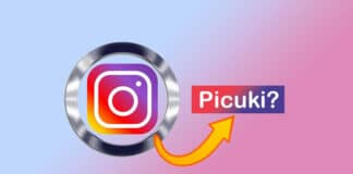 Picuki-Here's-Everything-You-Need-to-Know