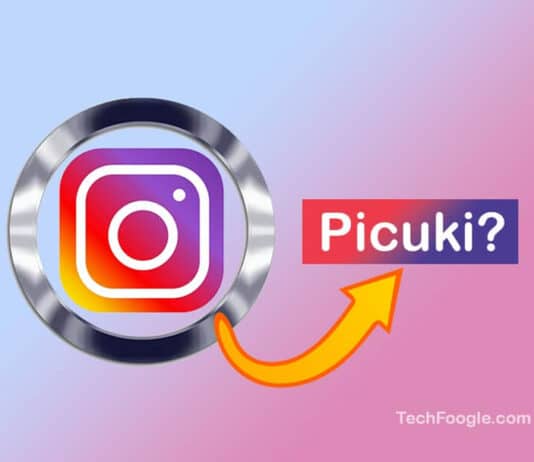 Picuki-Here's-Everything-You-Need-to-Know
