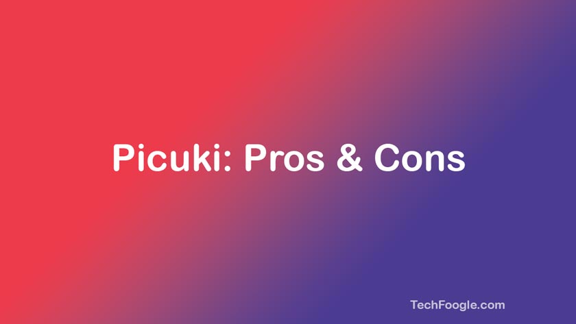 Picuki Pros and Cons