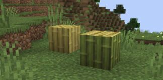Minecraft-1.20-Snapshot-22w45a-Adds-New-Bamboo-Blocks-Along-With-Bug-Fixes