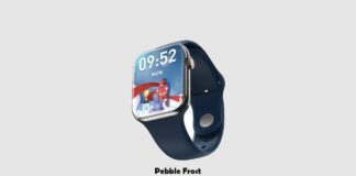 Pebble-Frost-Launched-India