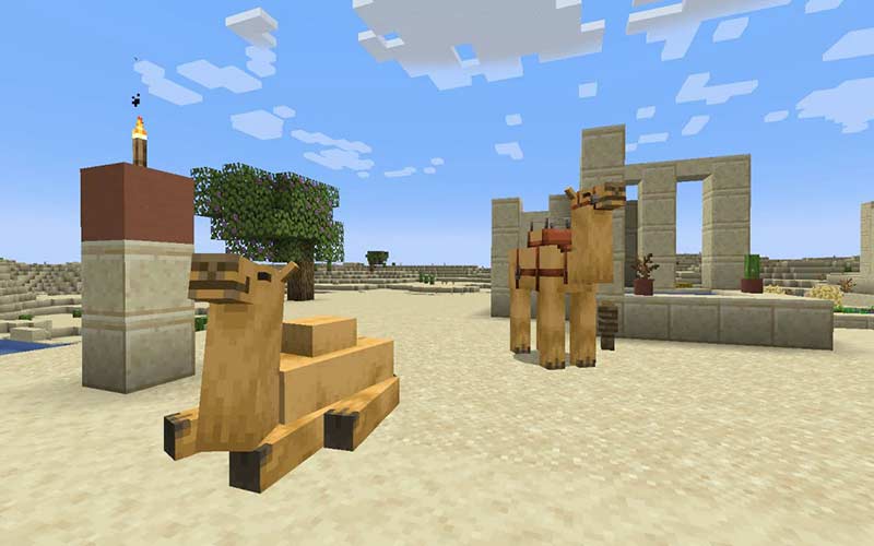 camels: Minecraft 1.20