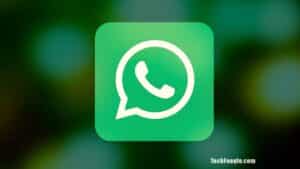 WhatsApp Channels Feature