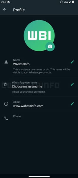 WhatsApp Username Feature