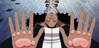 Nikyu Nikyu no Mi EXPLAINED